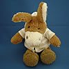 Brown Donkey in a Duffle Coat