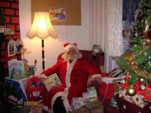 Tamar Valley Donkey Park santa father christmas grotto adopt a donkey
