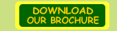 download our brochure