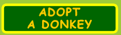 Adopt a Donkey
