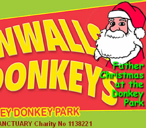 Christmas opening at the Donkey Park