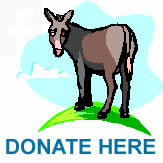 Tamar Valley Donkey Park Donate here