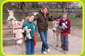 Visit the Donkey Bazaar Gift Shop at the Tamar Valley Donkey Park