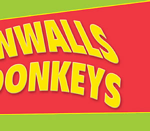 The Tamar Valley Donkey Park and Sanctuary, Cornwall